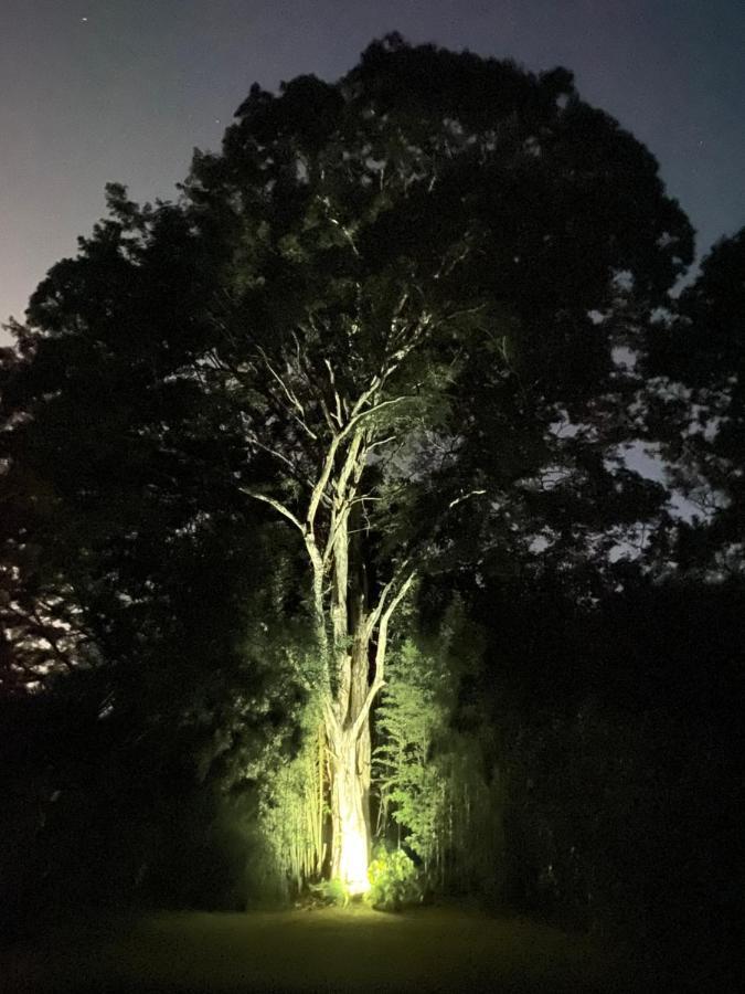 Recanto Da Floresta - Casa De Campo Em Secretario เปโตรโปลิส ภายนอก รูปภาพ