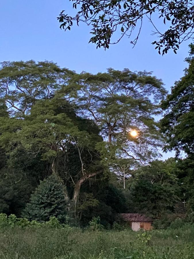 Recanto Da Floresta - Casa De Campo Em Secretario เปโตรโปลิส ภายนอก รูปภาพ